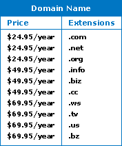Domain Name